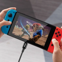 Ugreen kabel przewód USB Typ C (męski) na Typ C (męski) 1 m biały (US300)